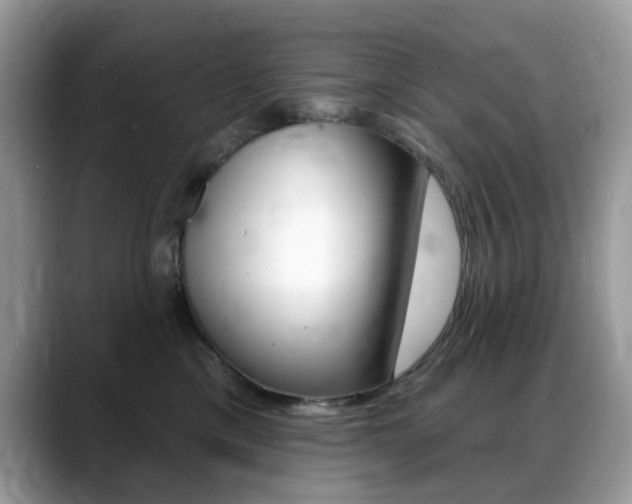 X0000088900425200706080830