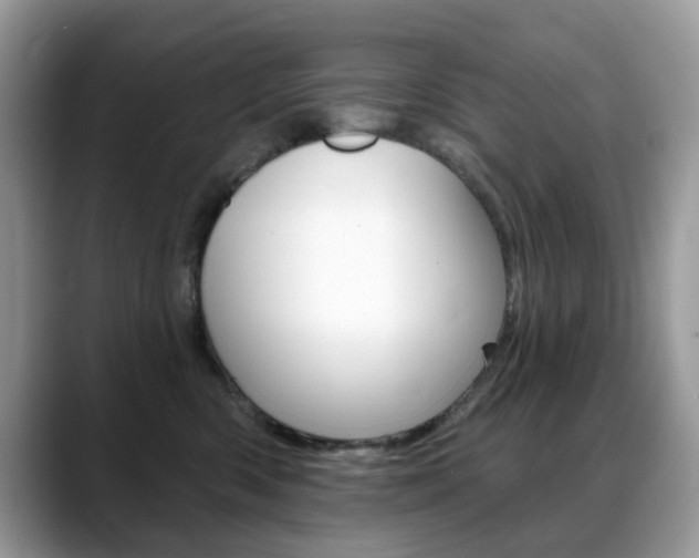 X0000088900426200706080830
