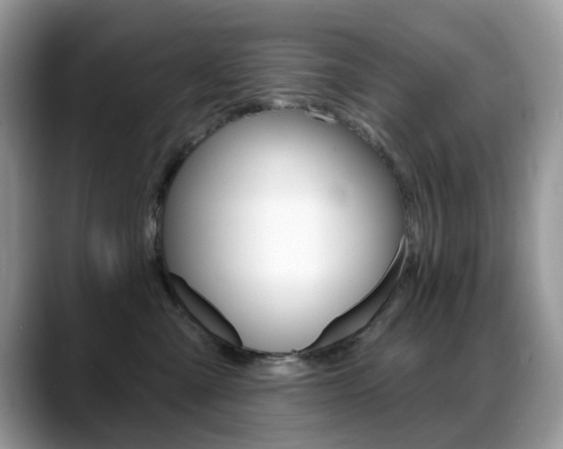 X0000088900427200706080830