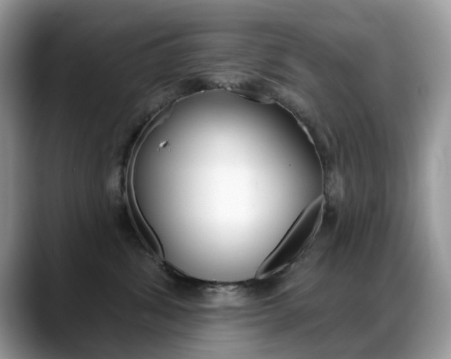 X0000088900428200706080830