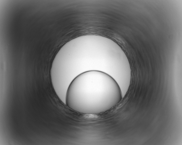 X0000088900429200706080830