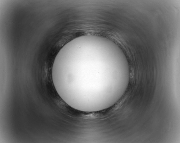 X0000088900430200706080830