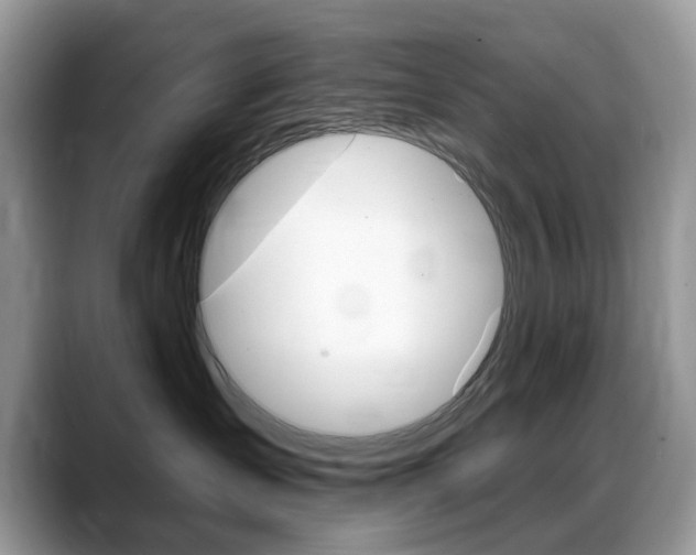 X0000088900431200706080830