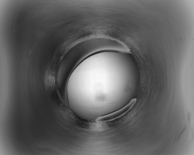 X0000088900432200706080830