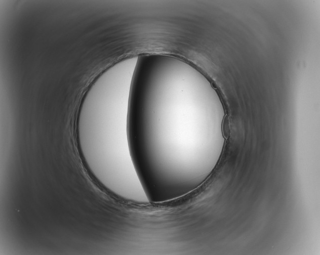 X0000088900433200706080829