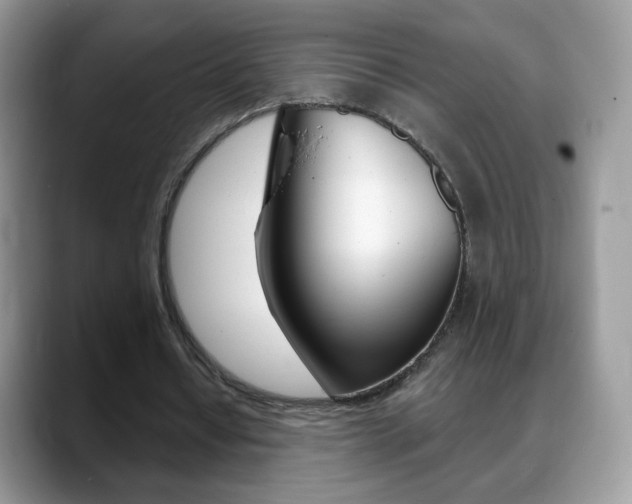 X0000088900434200706080830