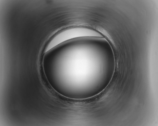 X0000088900436200706080830