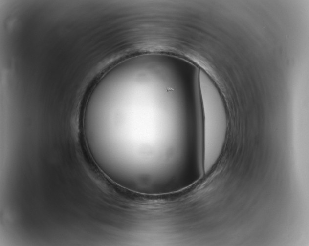 X0000088900438200706080830