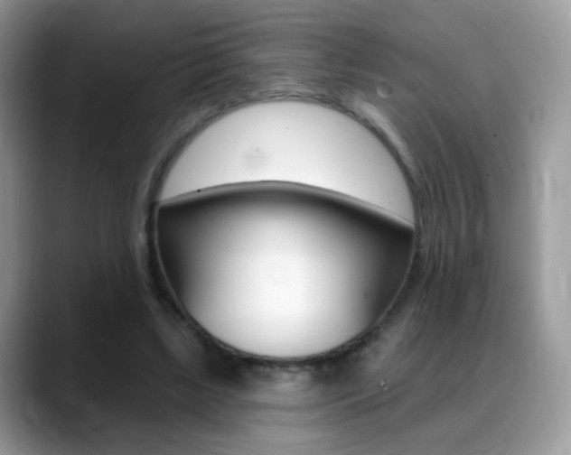X0000088900443200706080830