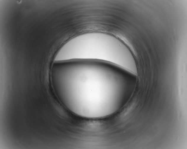X0000088900445200706080830