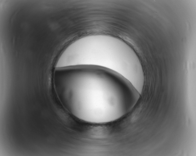 X0000088900446200706080830