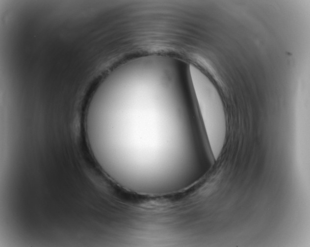 X0000088900447200706080830