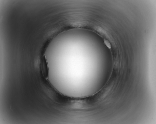 X0000088900448200706080830