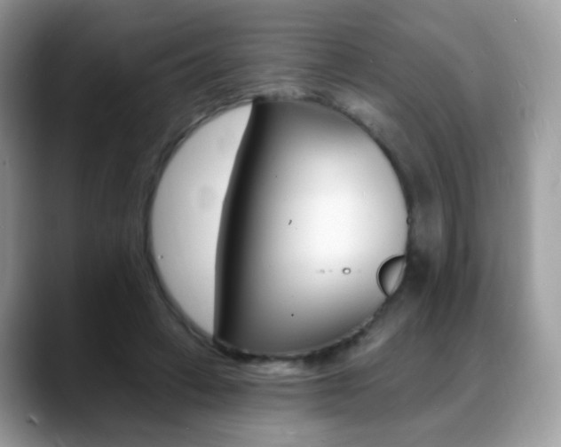 X0000088900449200706080830