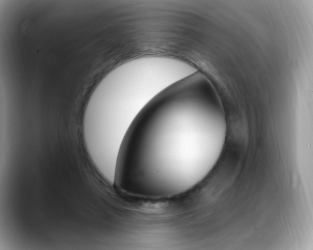 X0000088900450200706080830