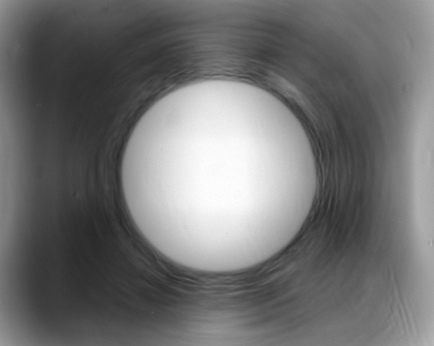 X0000088900452200706080830