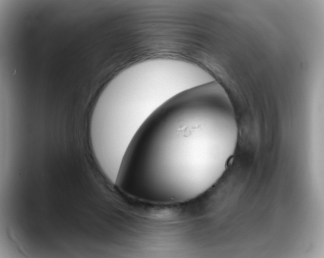 X0000088900454200706080830