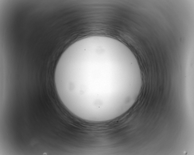 X0000088900456200706080830