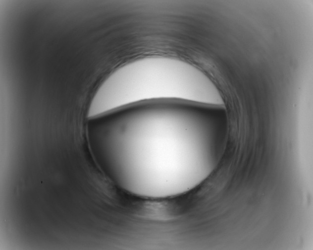 X0000088900457200706080830
