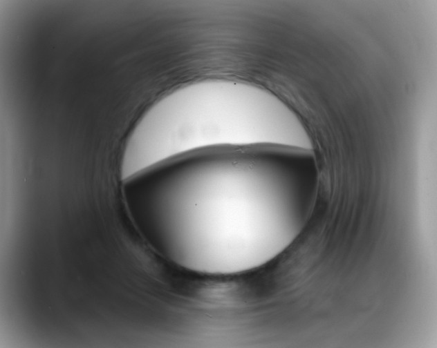 X0000088900458200706080830