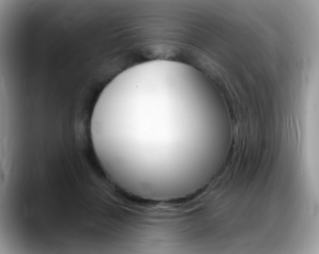 X0000088900460200706080830
