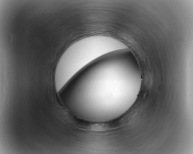 X0000088900461200706080830