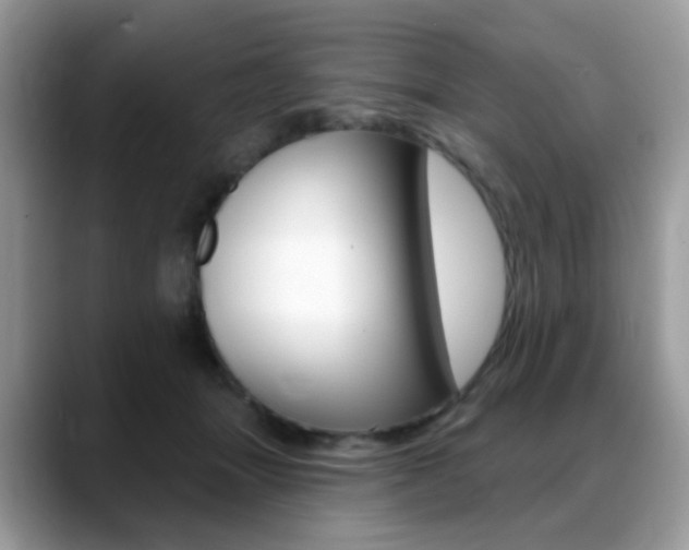 X0000088900463200706080830