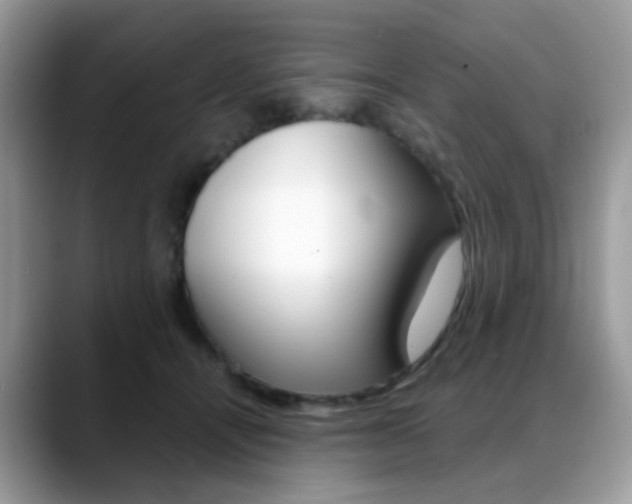 X0000088900464200706080830