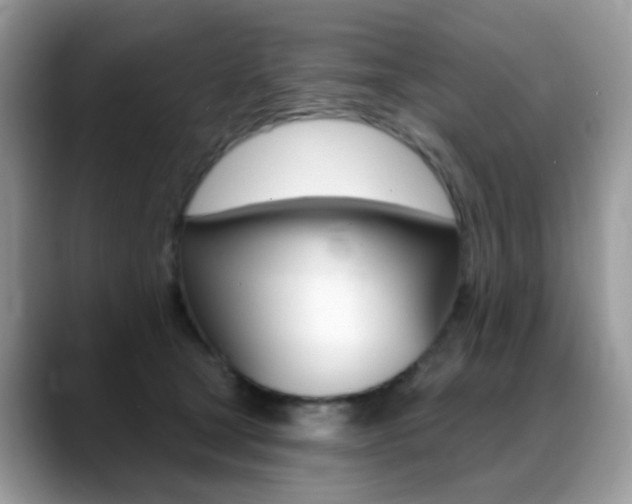 X0000088900465200706080830