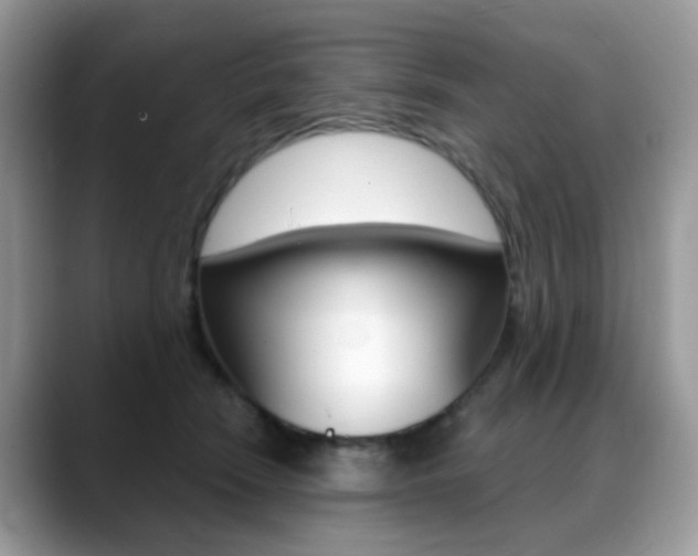 X0000088900466200706080830