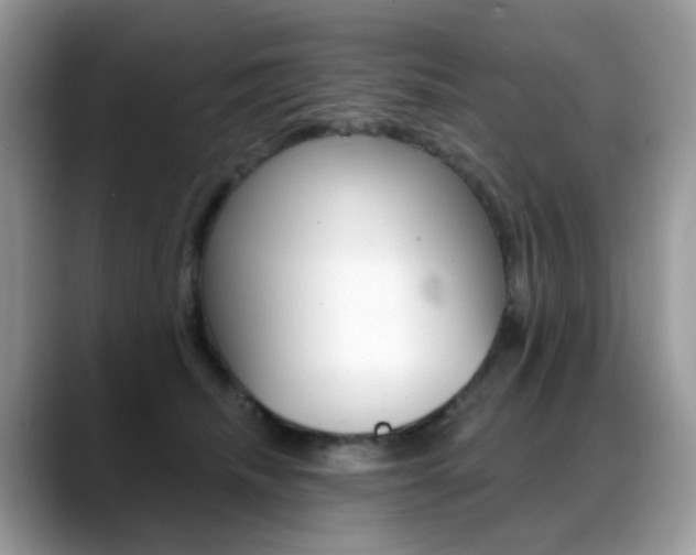 X0000088900468200706080830