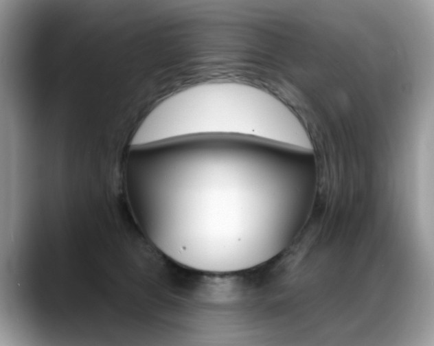 X0000088900469200706080830