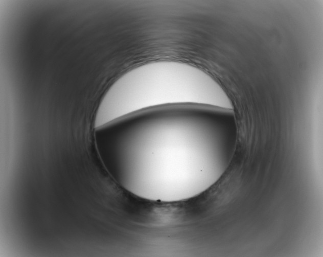 X0000088900470200706080830