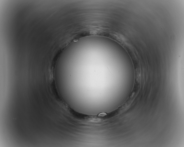 X0000088900471200706080830