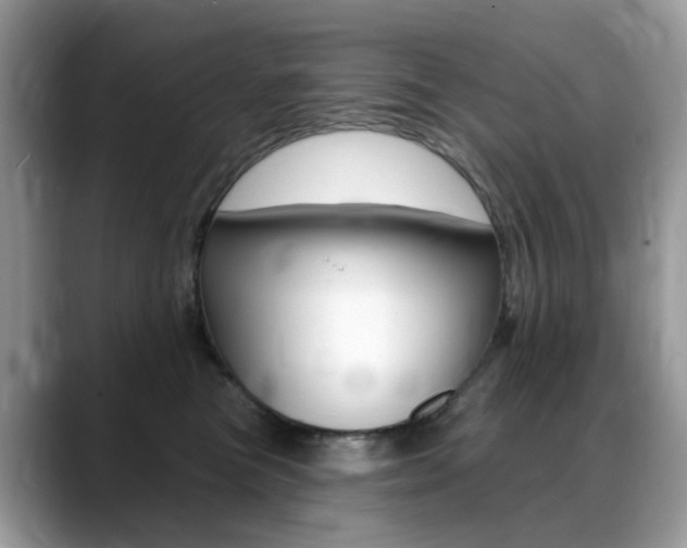 X0000088900473200706080830