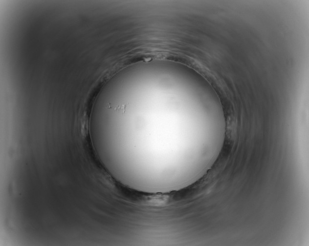 X0000088900474200706080830