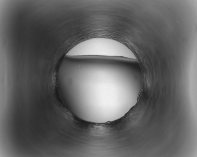 X0000088900475200706080830