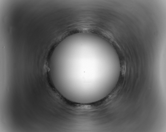 X0000088900476200706080830