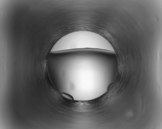 X0000088900477200706080830