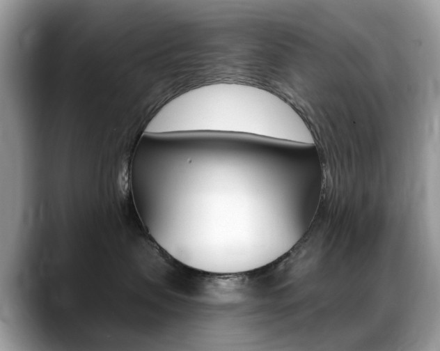 X0000088900479200706080830