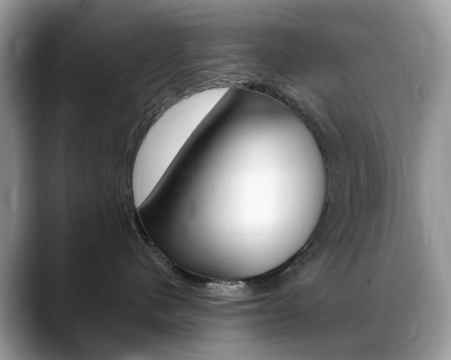 X0000088900480200706080830