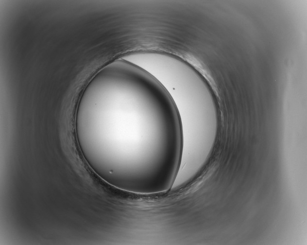 X0000088900481200706080829