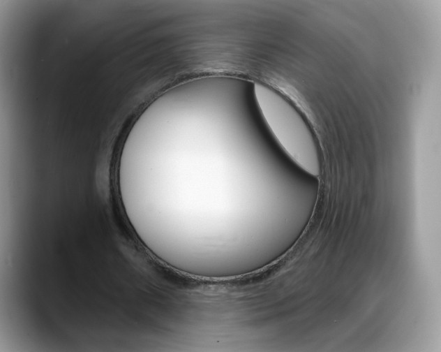 X0000088900482200706080829