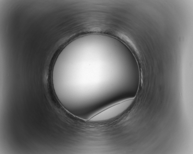 X0000088900483200706080829