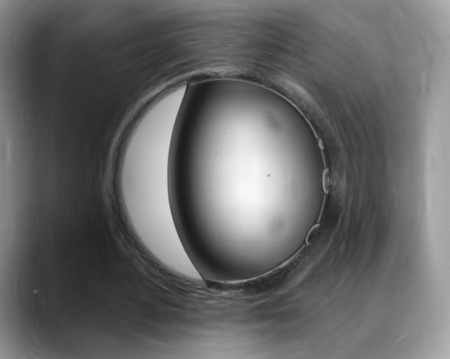 X0000088900484200706080829