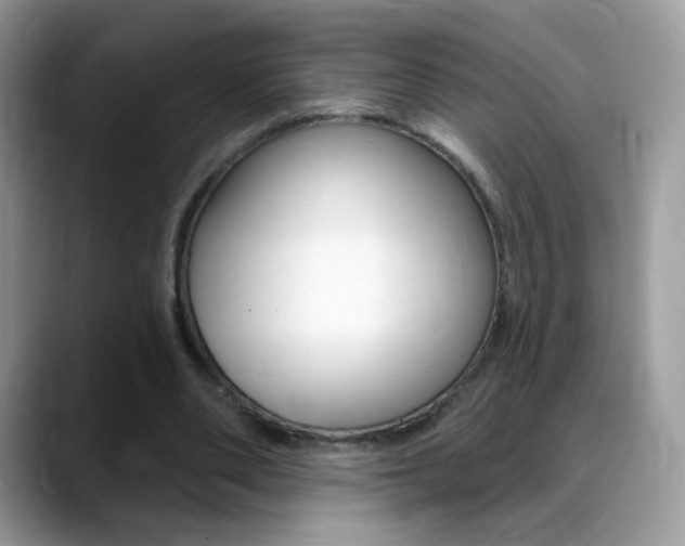 X0000088900486200706080829