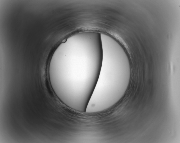 X0000088900487200706080829
