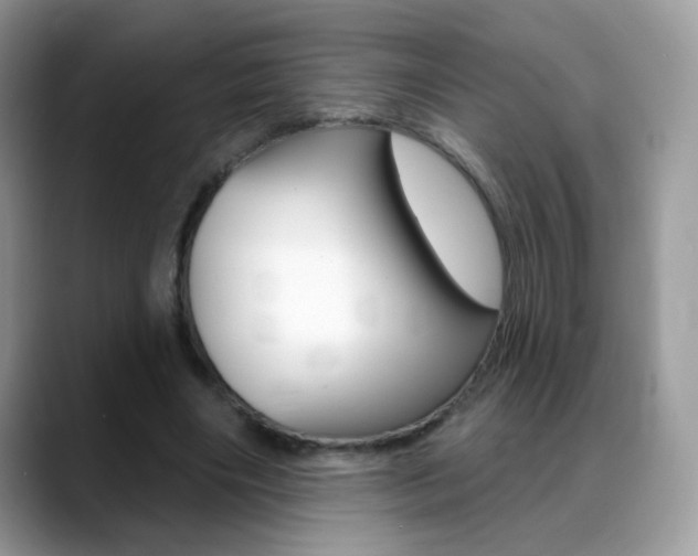 X0000088900490200706080829