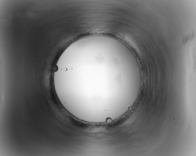 X0000088900491200706080829
