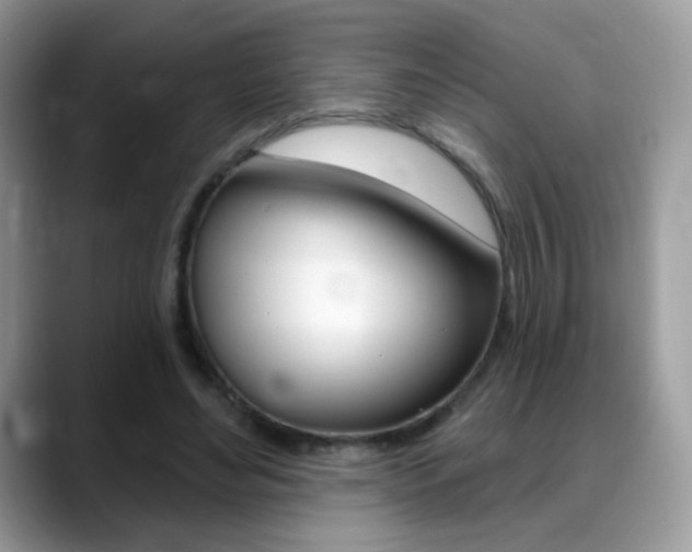 X0000088900492200706080829